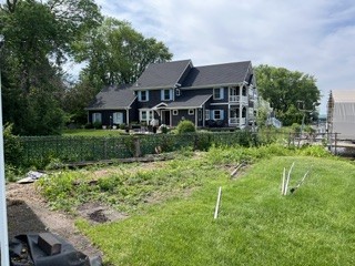 Before: overgrown bed with old roots and stumps