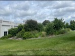 Before: overgrown weeds and brush in the landscape bed